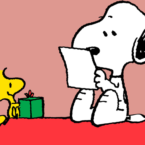 Charlie Brown y Snoopy Almohada de Lectura de Alto Soporte - Snoopy y Emilio 03