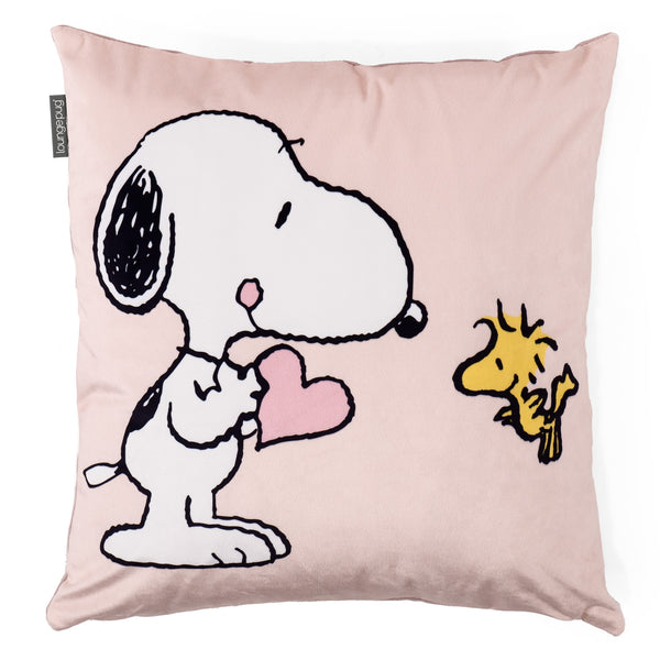 Charlie Brown y Snoopy Fundas de Cojín 47 x 47cm - Snoopy y Emilio 01