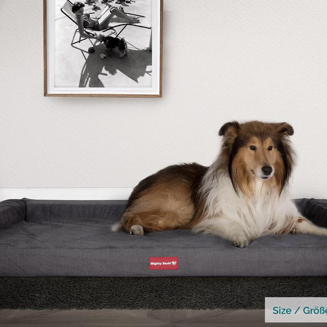 "El Escaño Por Mighty-Bark" - Sofá Para Perros, Cama Pero, Pequeña, Medio, Grande - Chenilla Carbón Gris