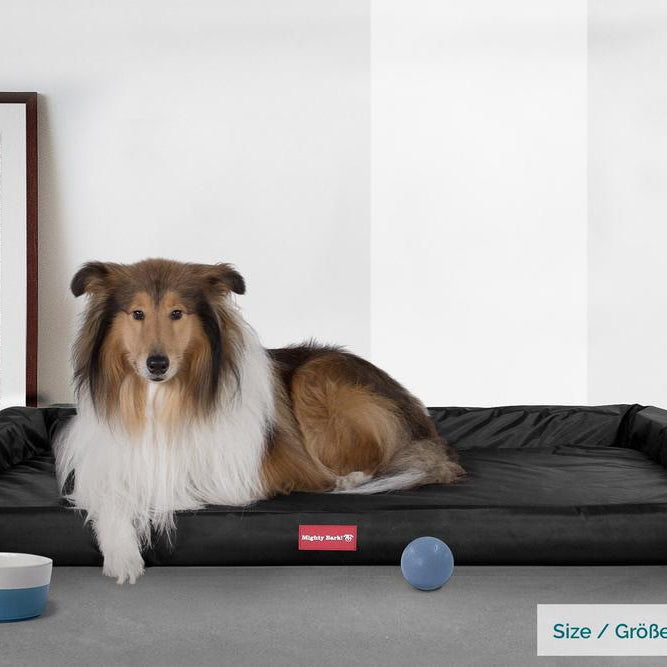 "El Escaño Por Mighty-Bark" - Sofá Para Perros, Cama Pero, Pequeña, Medio, Grande - Impermeable Negro