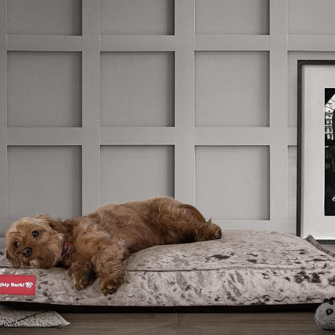 El Colchon Por Mighty-Bark - Ortopédica Rectangular Colchon Para Perros, Cama Pero, Pequeña, Grande - Terciopelo Retro Plata