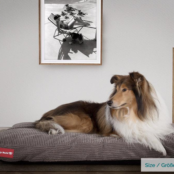 El Colchon Por Mighty-Bark - Ortopédica Rectangular Colchon Para Perros, Cama Pero, Pequeña, Grande - Pompón Carbón Gris