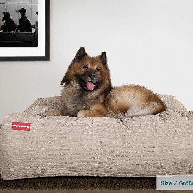 Cama best sale gigante perro