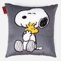 Charlie Brown y Snoopy Abrazo