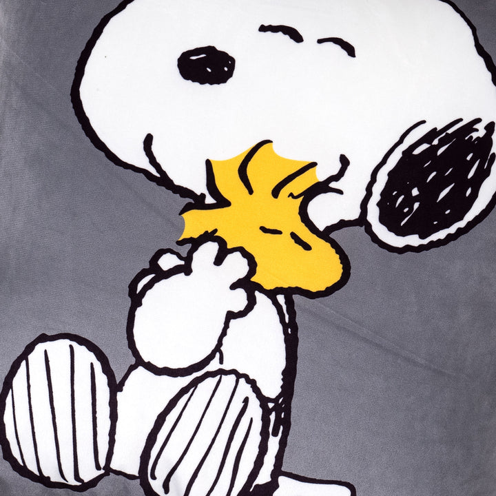 Charlie Brown y Snoopy Fundas de Cojín 47 x 47cm - Abrazo 04