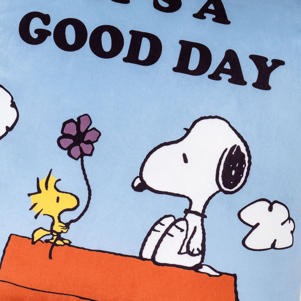 Charlie Brown y Snoopy Fundas de Cojín 47 x 47cm - Buen Día 04
